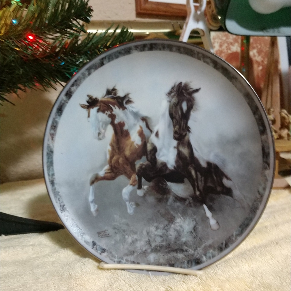 🐎"Thundering Hooves" Paints 1996 Bradford Exchange Limited Edition Numbered